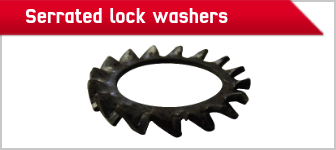 TOOLCRAFT Serrated lock washers