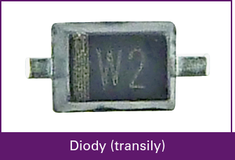 Diody (transily)