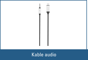 Kable audio Renkforce